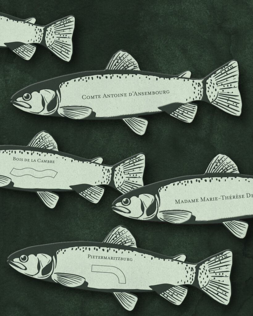 Nominettes en forme de poissons sur fond vert